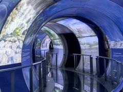 -房山世界地质公园博物馆