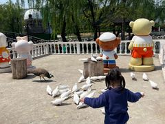 -J Create城市露营咖啡·简餐·宠物(上海动物园店)