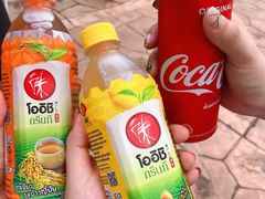 -清迈夜间动物园