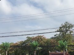 -九寨沟石锅鱼(沣峪口二十年店)