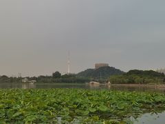 -月湖风景区