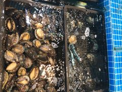 -渔人湾码头海鲜市场负二楼