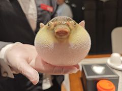 -永安鱼庄·镇江菜(东吴路店)