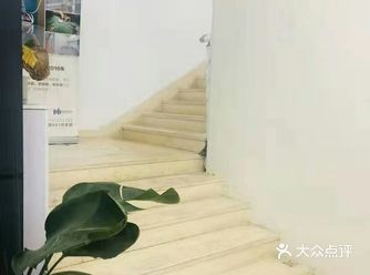 来给我们家的喵喵做绝育，本来刚到医院的时候