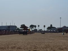 -碧海金沙