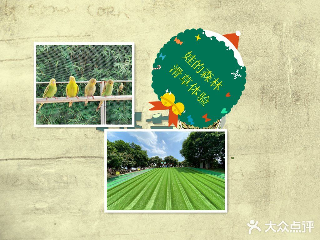 娃的森林滑草体验