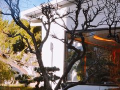 -九献创意菜·牛排馆(亮马河花园店)