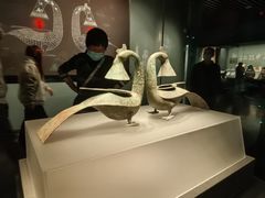 -广西壮族自治区博物馆