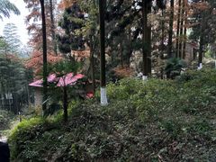 -莫干山风景区