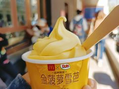 -麦当劳(新王府井店)