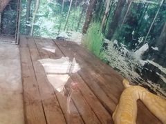 -上方山森林动物世界