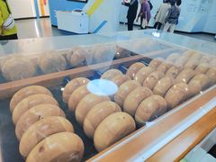 -山东省科技馆(新馆)