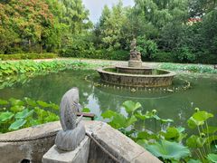 -潇湘甲鱼村(清河店)