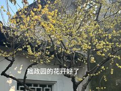 -拙政园