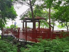 -广东花都湖国家湿地公园