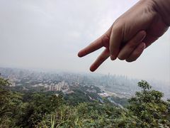 -南山植物园