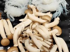 -呷哺呷哺(望京新世界店)