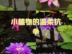 -国家植物园南园