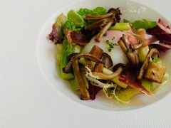 -蝶舍·MAISON PAPILLON