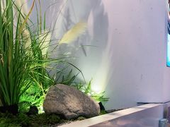 -蜜桃餐厅·伴山(绿宝广场店)