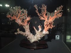 -台北故宫博物院