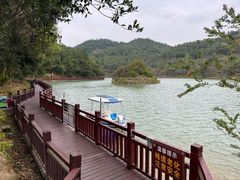 -广州白江湖森林公园