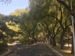 -辽宁友谊宾馆