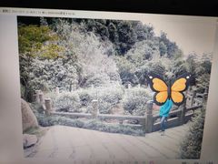 -十八棵（老龙井）御茶园(老龙井店)