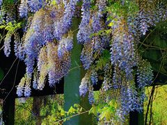 -国家植物园南园