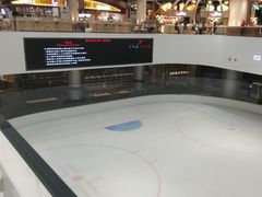 -TheRink大零溜冰场(IFS国金中心店)
