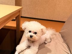 -奈雪茶院·茶室茶馆(广州粤海天地店)