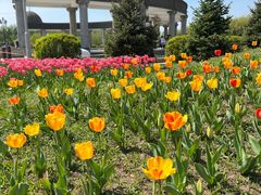 -长春公园(普阳街道)