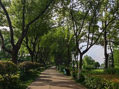 -金银湖国家城市湿地公园
