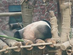 -黔灵山公园