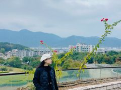 -龙泉青瓷博物馆