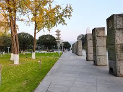 -重庆市江北嘴中央商务区中央公园