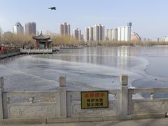 -莲花池公园