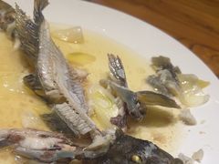 -77号渔船·蒸海鲜青岛菜(积米崖店)