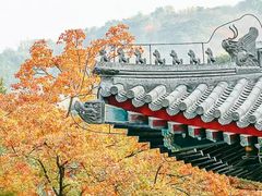 -香山公园