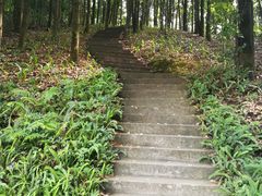 -广州市帽峰山景区