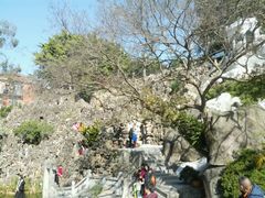 -鼓浪屿钢琴博物馆