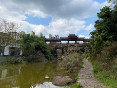 -张坝桂圆林公园
