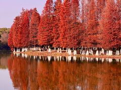 -艾溪湖湿地公园