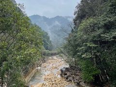 -姑婆山旅游区