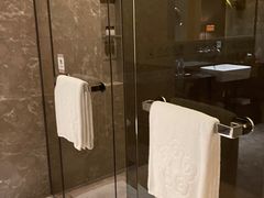 -河源万绿湖美思威尔顿酒店