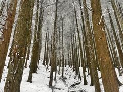 -庐山风景名胜区