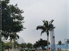 -野狸岛