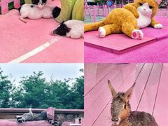 -渔岛海洋度假区