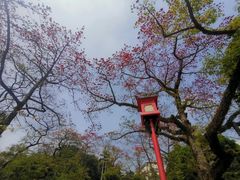 -广州中山纪念堂
