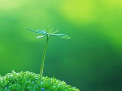 -青岛亨得利眼镜(城阳家佳源店)